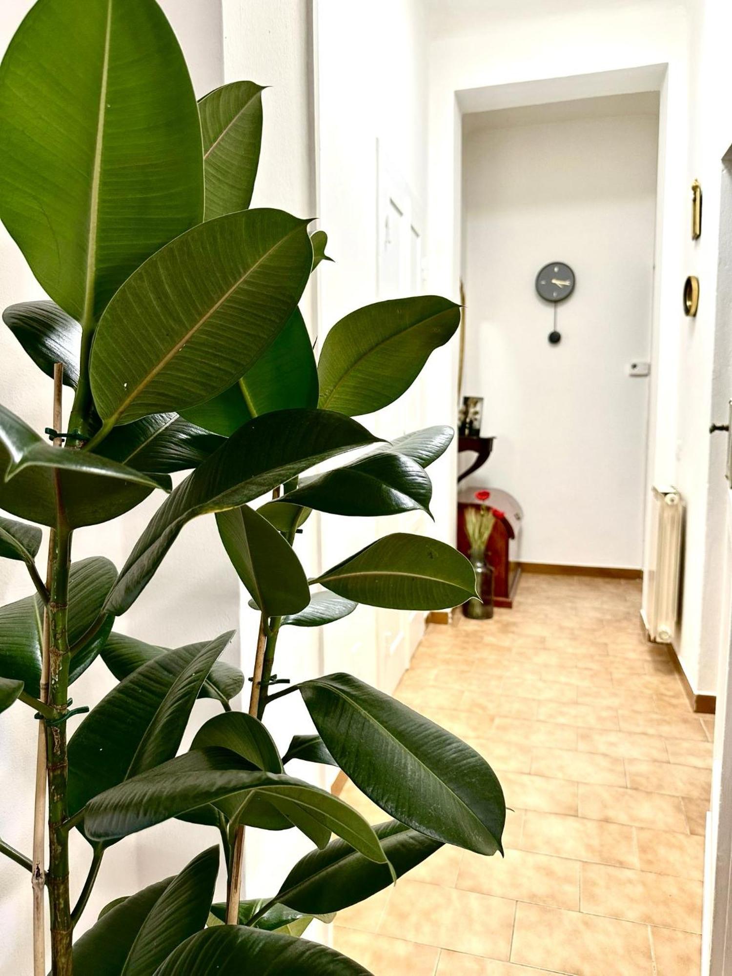 Casa Ganza Villa Pisa Exteriör bild